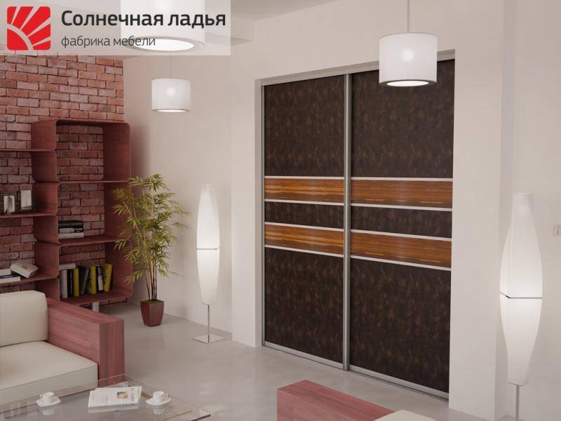 шкаф - купе для гостиной 17 в Архангельске