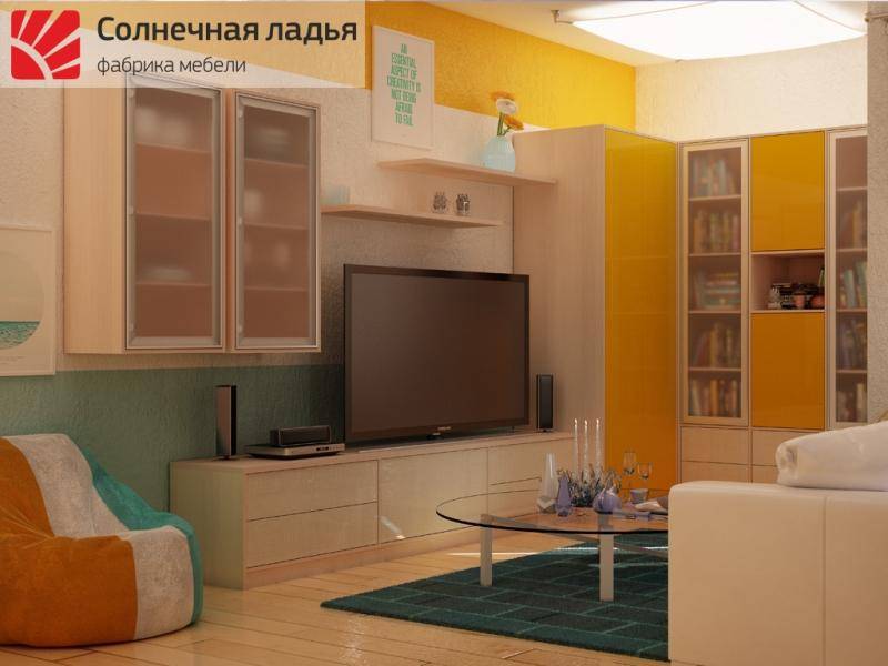 шкаф - купе для гостиной 15 в Архангельске