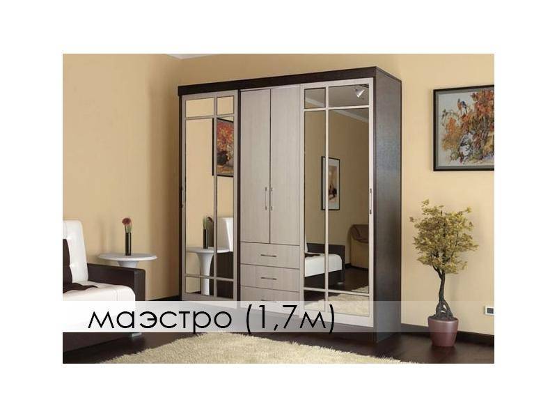 шкаф-купе маэстро в Архангельске