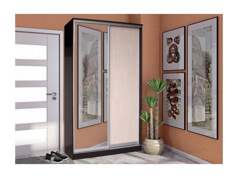 шкаф-купе 2 створки с зеркалом стандарт в Архангельске