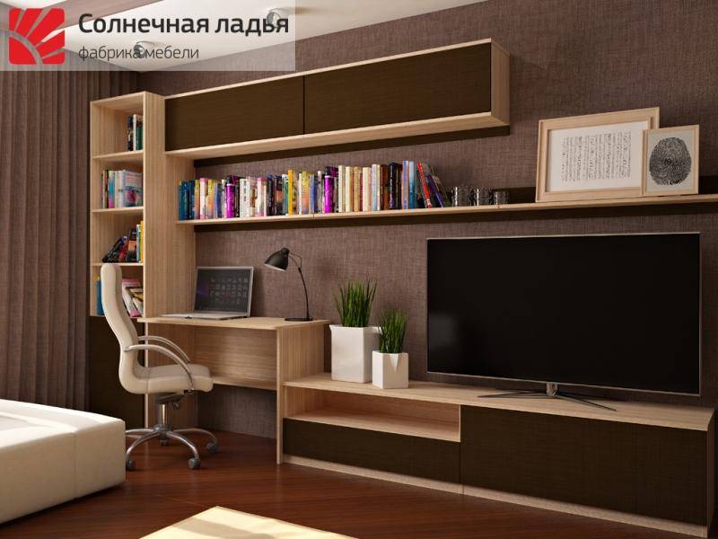 шкаф - купе для гостиной 13 в Архангельске