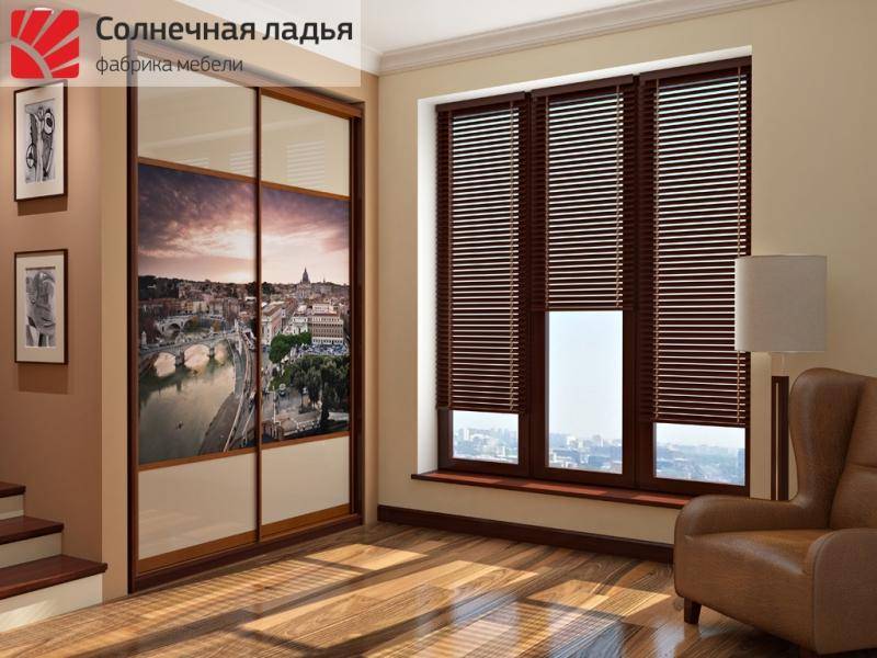 шкаф - купе для гостиной 9 в Архангельске