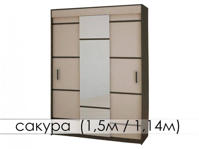 шкаф-купе сакура в Архангельске