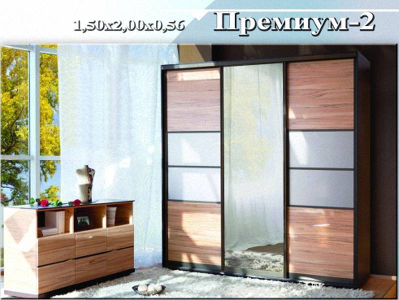 шкаф-купе «премиум 2» в Архангельске