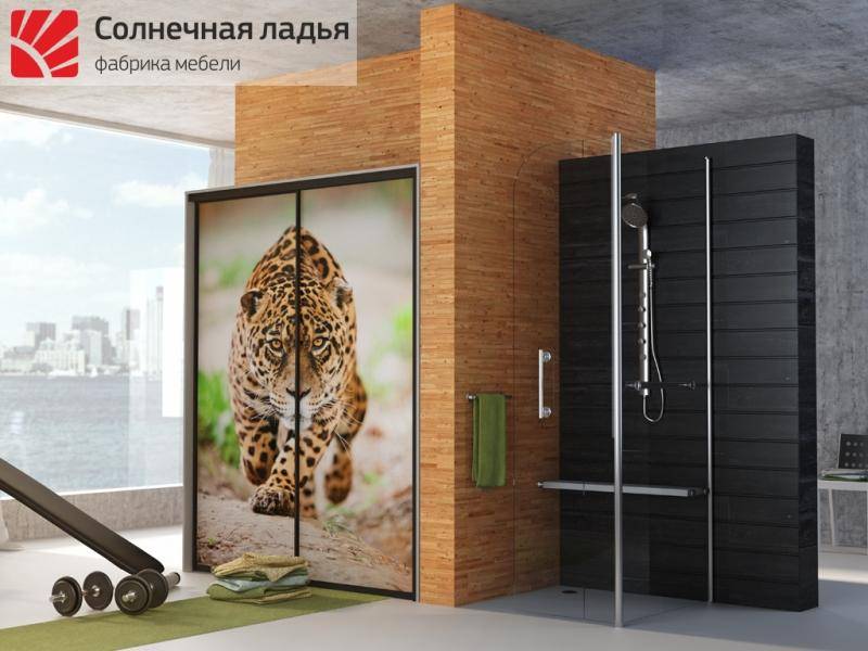 шкаф - купе фотопечать 4 в Архангельске