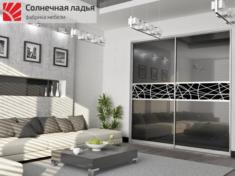 шкаф - купе для гостиной 10 в Архангельске