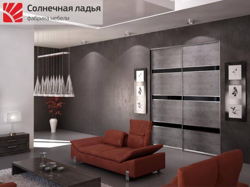 шкаф - купе для гостиной 18 в Архангельске