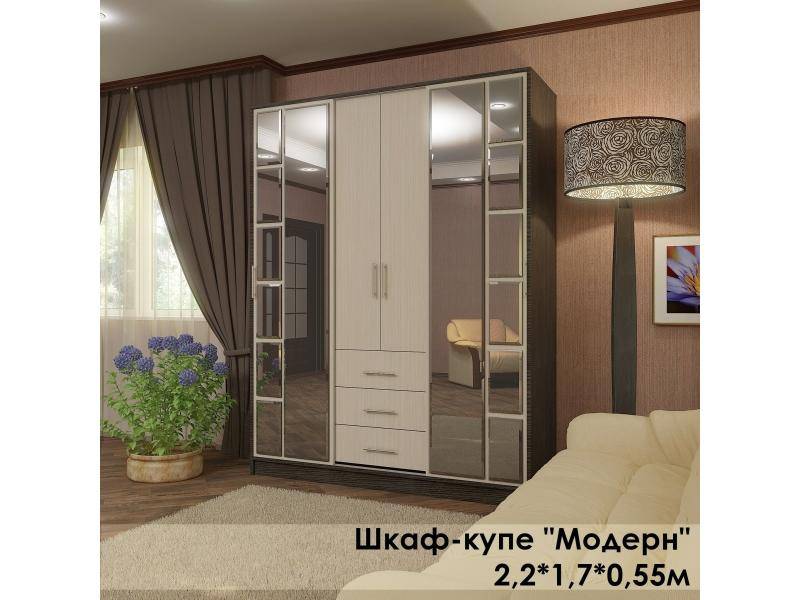 шкаф-купе в стиле модерн в Архангельске