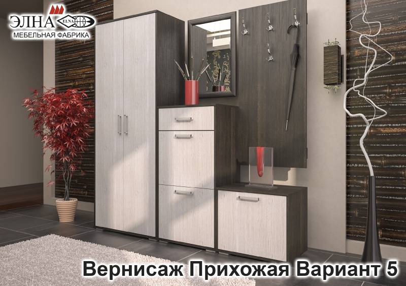 прихожая вернисаж вариант 5 в Архангельске