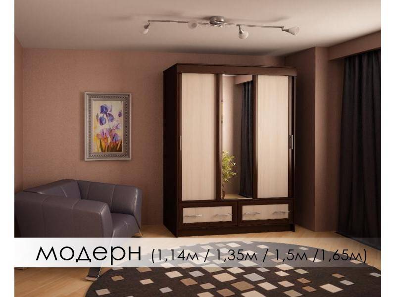 шкаф-купе модерн в Архангельске