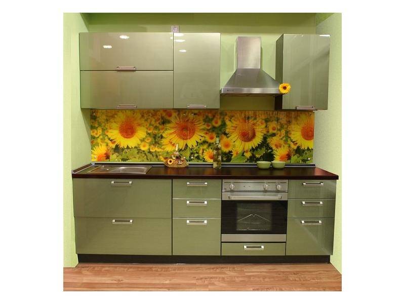 прямая кухня с фасадами из пластика алисия-2 в Архангельске
