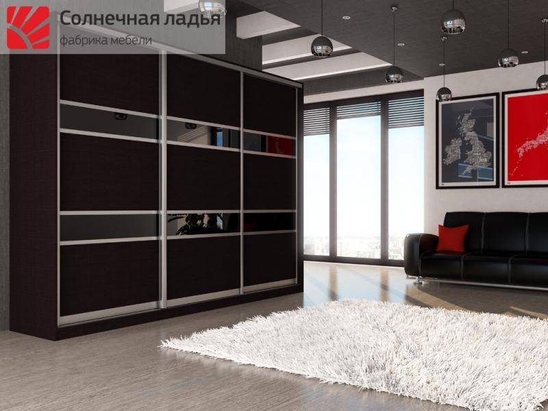 шкаф - купе для гостиной 5 в Архангельске
