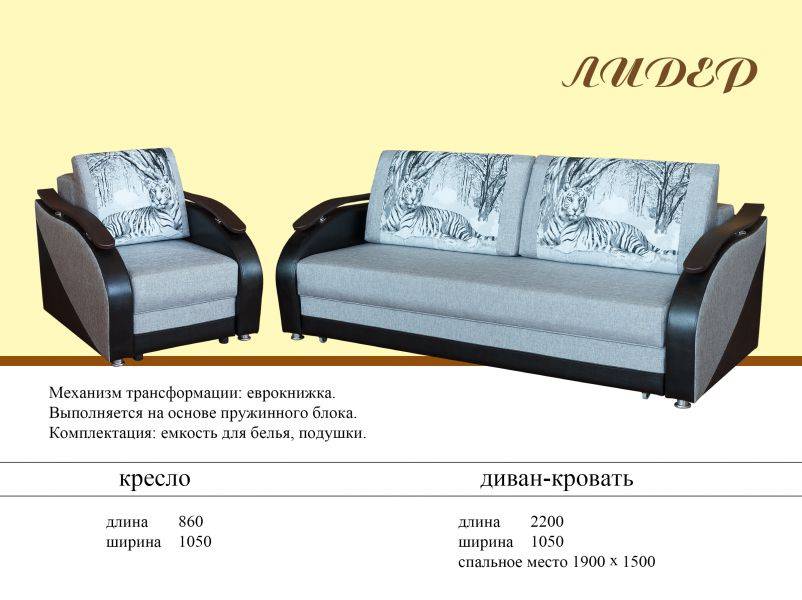диван еврокнижка лидер в Архангельске