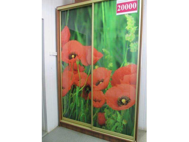 шкаф-купе 00002 в Архангельске