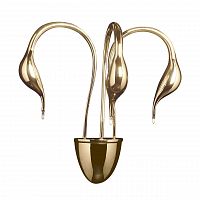 бра lightstar cigno collo 751632 в Архангельске
