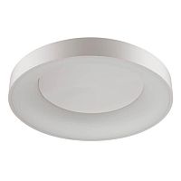 потолочный светодиодный светильник odeon light sole 4062/80cl в Архангельске