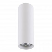 потолочный светильник lightstar rullo 214496 в Архангельске