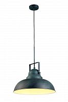 подвесной светильник arte lamp martin a5213sp-1bg в Архангельске