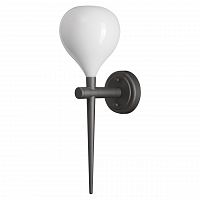 бра lightstar forma 808650 в Архангельске