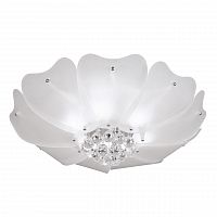 потолочный светильник lightstar lobo 804020 в Архангельске