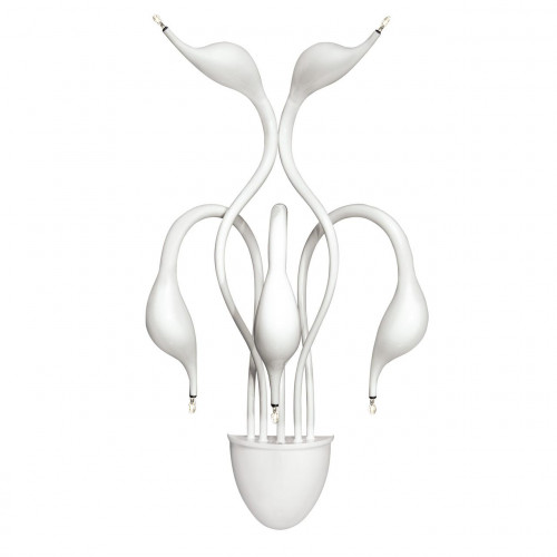 бра lightstar cigno collo wt 751656 в Архангельске