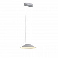 подвесной светодиодный светильник st luce pitto sl427.503.01 в Архангельске