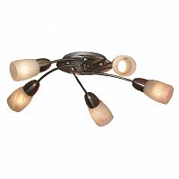 потолочная люстра lussole cevedale grlsq-6907-05 в Архангельске