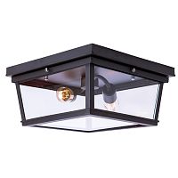 потолочный светильник loft it loft3110-2c в Архангельске