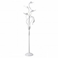 торшер lightstar cigno collo wt 751766 в Архангельске
