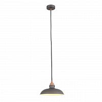 подвесной светильник st luce pietanza sl323.403.01 в Архангельске