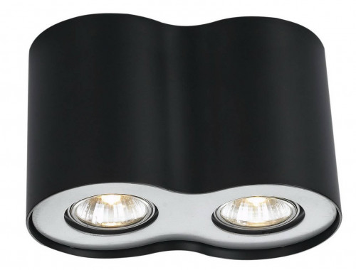 потолочный светильник arte lamp falcon a5633pl-2bk в Архангельске