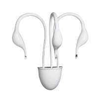 бра lightstar cigno collo wt 751636 в Архангельске
