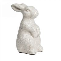 кролик декоративный rabbit в Архангельске