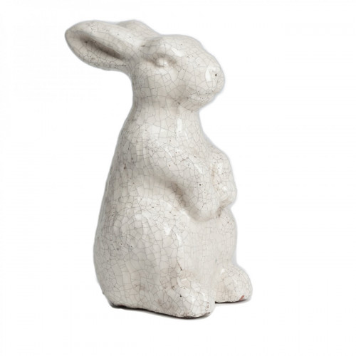 кролик декоративный rabbit в Архангельске