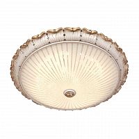 потолочный светодиодный светильник silver light louvre 843.50.7 в Архангельске