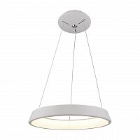 подвесной светодиодный светильник arte lamp a6250sp-1wh в Архангельске