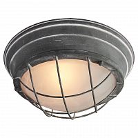 потолочный светильник lussole loft grlsp-9881 в Архангельске
