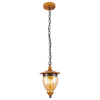 подвесной светильник arte lamp catena a6711sp-1br в Архангельске