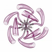 бра lightstar stella 892668 в Архангельске