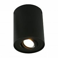 потолочный светильник arte lamp a5644pl-1bk в Архангельске