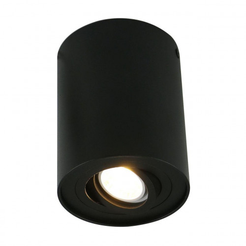 потолочный светильник arte lamp a5644pl-1bk в Архангельске