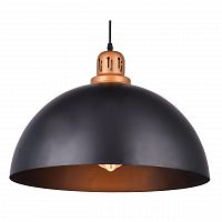 подвесной светильник arte lamp eurica a4249sp-1bk в Архангельске