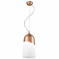 дизайнерский подвесной светильник spot light daga 1676113 в Архангельске