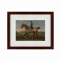 картина: bay racehorse with jockey up, 1730 в Архангельске