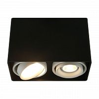 потолочный светильник arte lamp a5655pl-2bk в Архангельске