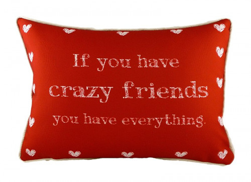 подушка с надписью crazy friends в Архангельске