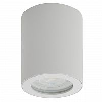 потолочный светильник denkirs dk3007-wh в Архангельске
