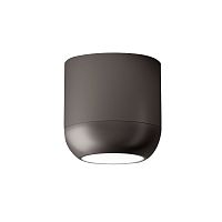 потолочный светильник pl urban m matt nickel от axo light в Архангельске