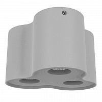 потолочный светильник lightstar binoco 052039 в Архангельске