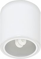 потолочный светильник nowodvorski downlight 4865 в Архангельске